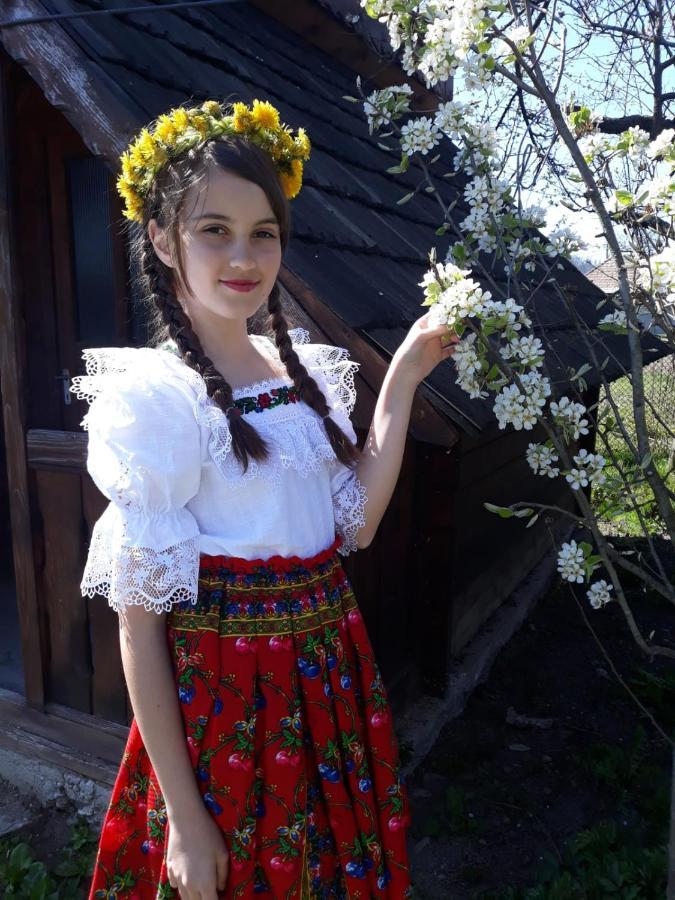 Pensiunea Maria Sighetu Marmaţiei Esterno foto