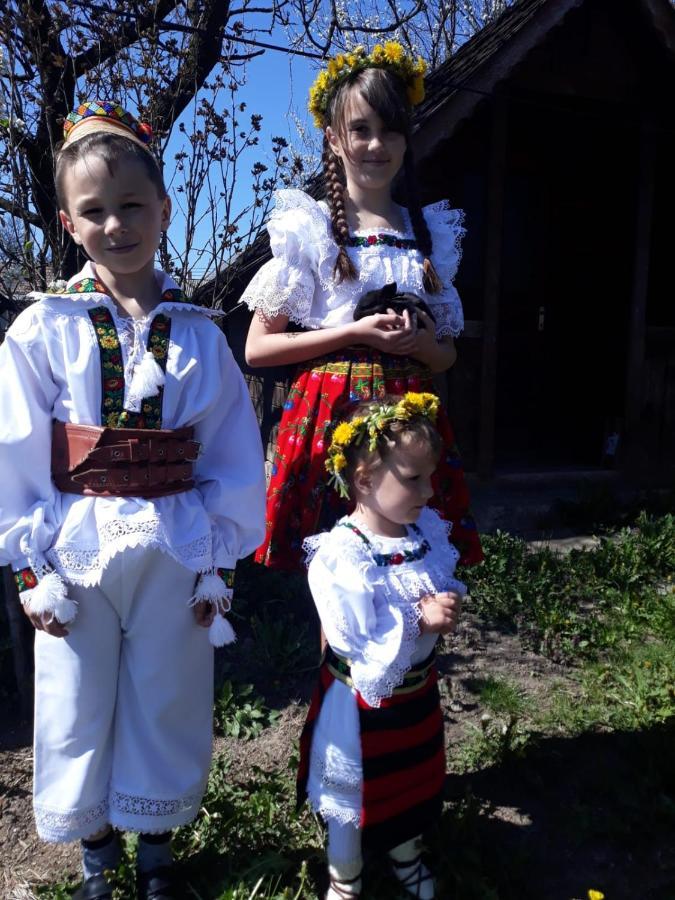 Pensiunea Maria Sighetu Marmaţiei Esterno foto